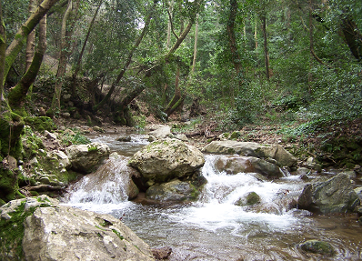 The Green Samos Isle