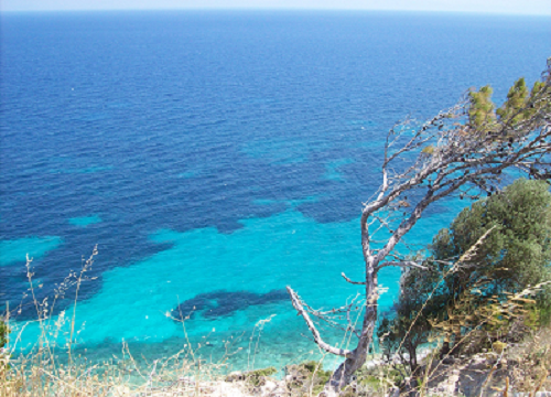 cristal clear sea